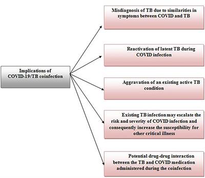 The COVID-19/Tuberculosis Syndemic and Potential Antibody Therapy for TB Based on the Lessons Learnt From the Pandemic